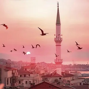 هالا آبلا إفليري شقة